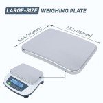 U.S. Solid 5000g x 0.01g Digital Lab Scale