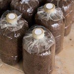 256 Synthetic Filter Paper Stickers for Mushroom Cultivation