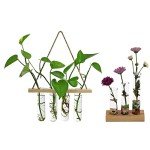 10PCS 60ml Borosilicate Glass Test Tubes with Corks