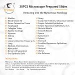 30 Prepared Microscope Slides for Kids' Science Education