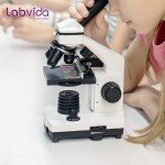 144pcs Purple Frosted Microscope Slides - Super Grade