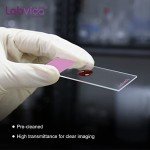 144pcs Purple Frosted Microscope Slides - Super Grade