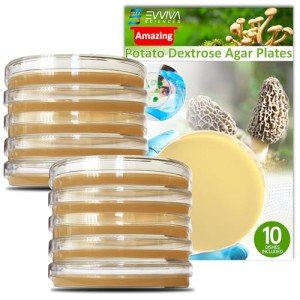 Potato Dextrose Agar Petri Dishes by Evviva Sciences