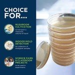 Potato Dextrose Agar Petri Dishes by Evviva Sciences