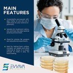 Potato Dextrose Agar Petri Dishes by Evviva Sciences