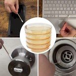 Potato Dextrose Agar Petri Dishes by Evviva Sciences