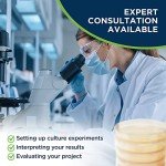 Potato Dextrose Agar Petri Dishes by Evviva Sciences