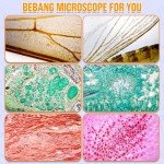 BEBANG Mini LED Pocket Microscope for All Ages