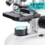 High-Power Binocular Microscope with LED Illumination
