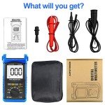 Digital Insulation Resistance Tester, AP-6688B Megohmmeter