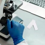 600pcs Chromatography Paper Strips for Science Experiments