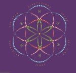 Mycelium Syringes: G. Teacher Strain Culture