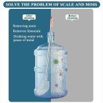 Stainless Steel Water Bucket Cleaning Brush