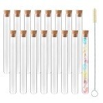 50PCS Clear Glass Test Tubes with Caps & Brush
