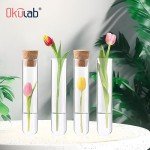 50PCS Clear Glass Test Tubes with Caps & Brush