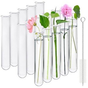 Akamino 15 Pcs Clear Test Tubes for Propagation