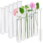 Akamino 15 Pcs Clear Test Tubes for Propagation