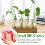 Akamino 15 Pcs Clear Test Tubes for Propagation