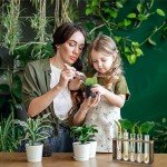 Akamino 15 Pcs Clear Test Tubes for Propagation