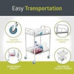 Portable Stainless Steel Lab Cart with Casters