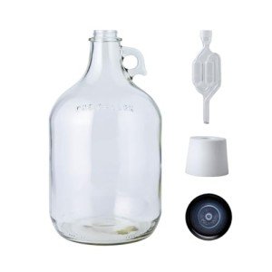 1 Gallon Glass Jug with Airlock and Stopper