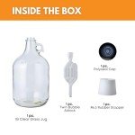 1 Gallon Glass Jug with Airlock and Stopper