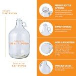 1 Gallon Glass Jug with Airlock and Stopper