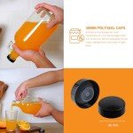 1 Gallon Glass Jug with Airlock and Stopper