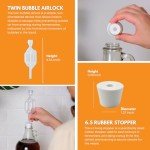 1 Gallon Glass Jug with Airlock and Stopper