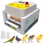 Automatic Egg Incubator for 12 Eggs