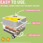 Automatic Egg Incubator for 12 Eggs