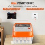 VEVOR 12-Egg Automatic Incubator with Turner Display