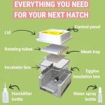 Automatic Egg Incubator for 12 Eggs