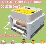 Automatic Egg Incubator for 12 Eggs