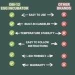 Automatic Egg Incubator for 12 Eggs
