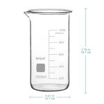 Stonylab 1000ml Borosilicate Glass Beaker with Spout