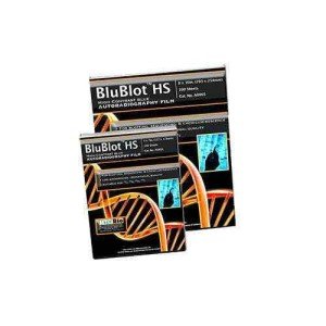 MTC Bio A8805 High Contrast Autoradiography Film 8x10