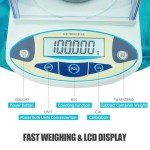 High Precision 100g Lab Scale with Conversion