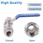Stainless Steel Full Port Ball Valve with Locking Handles