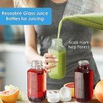 16 Oz Reusable Glass Juice Bottles with Spouts