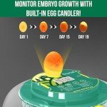 DX5® Automatic Egg Incubator with Humidity Control