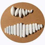 22 PCS PTFE Magnetic Stir Bar Set with Retriever