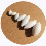 22 PCS PTFE Magnetic Stir Bar Set with Retriever