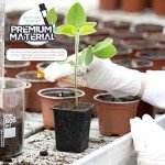 30 Clear Plastic Test Tubes with Cork Stoppers