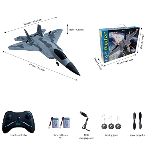 HAWK'S WORK 2 Channel F-22 RC Airplane