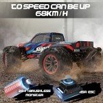 Hosim High Speed Brushless RC Car