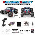 Hosim High Speed Brushless RC Car