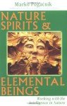 Nature Spirits and Elemental Beings: Working with the Intelligence in Nature