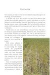Crop Circles: Layers of Mystery
