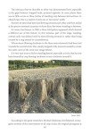 Crop Circles: Layers of Mystery